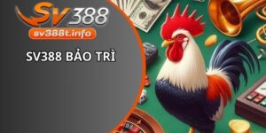 SV388 bảo trì