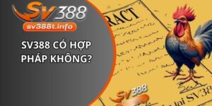 SV388 có hợp pháp không