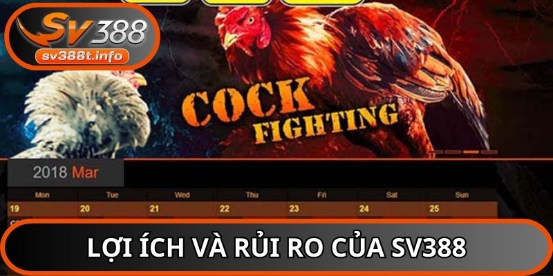 Người chơi cần cân nhắc giữa lợi ích và rủi ro