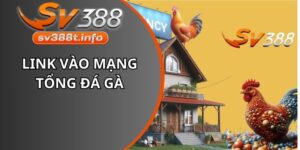 Link vào mạng tổng đá gà