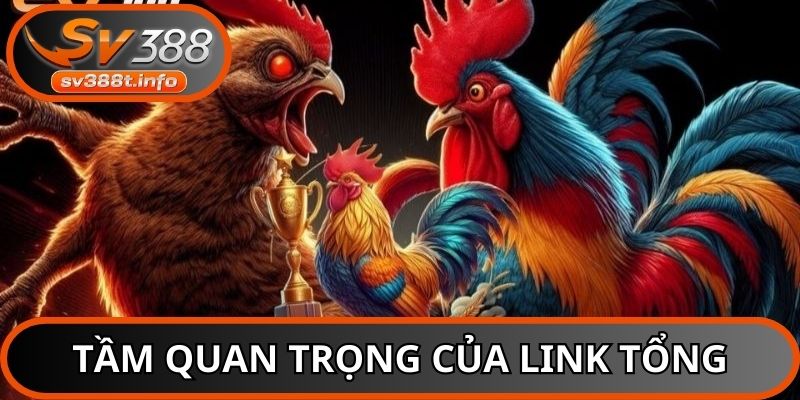 Link vào mạng tổng đá gà chính thức bảo vệ tối đa quyền lợi người chơi
